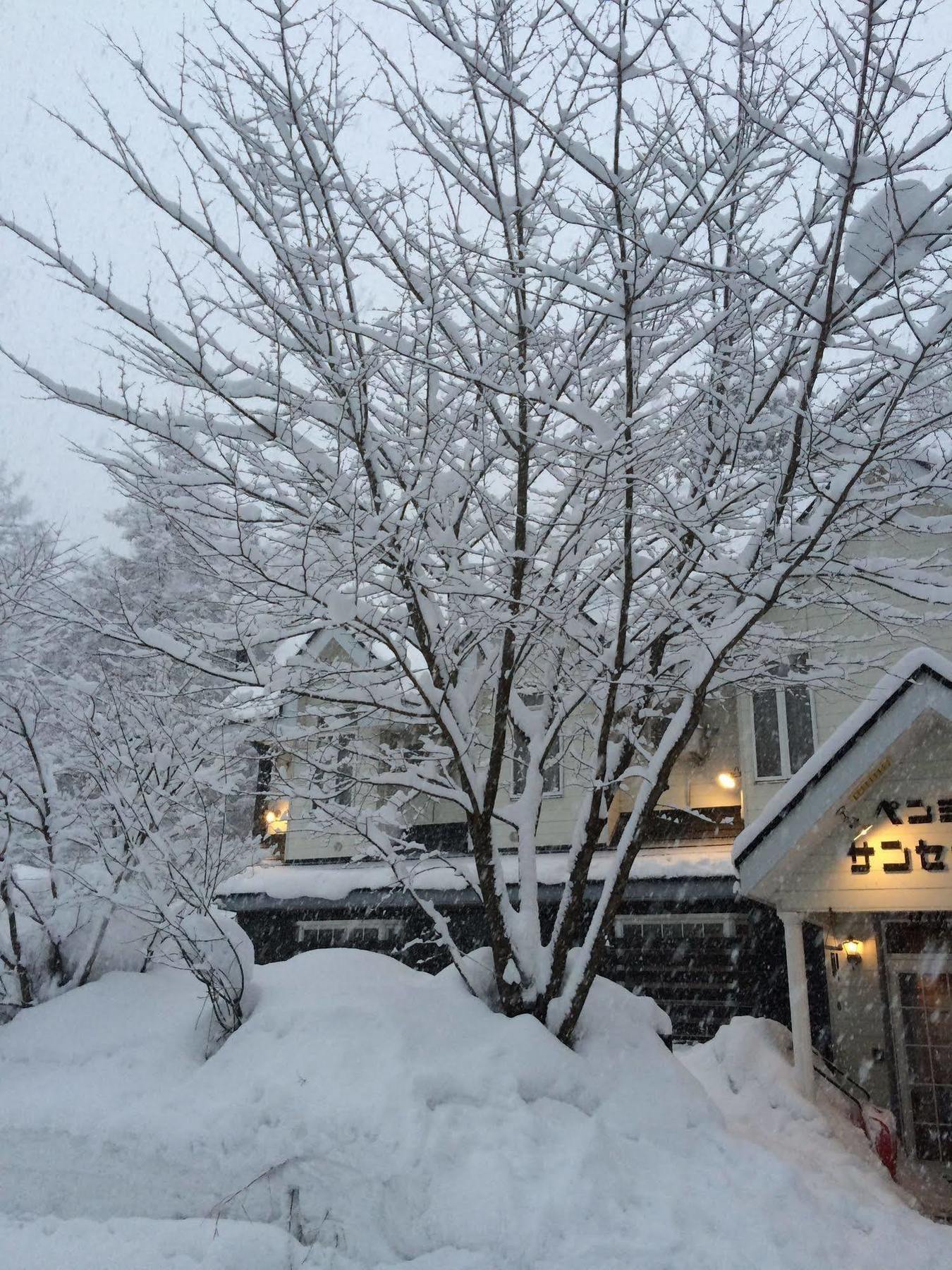 B&B Sunset Inn 白马村 外观 照片